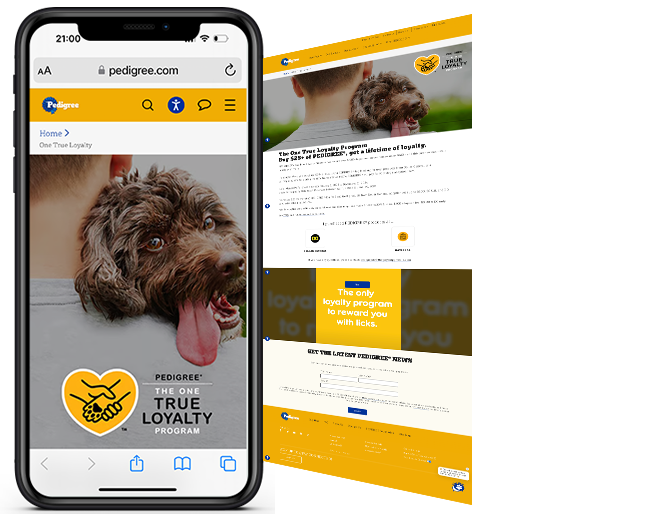 Cash Back Rebate Program to Drive Loyalty and Pet Adoption for Pedigree